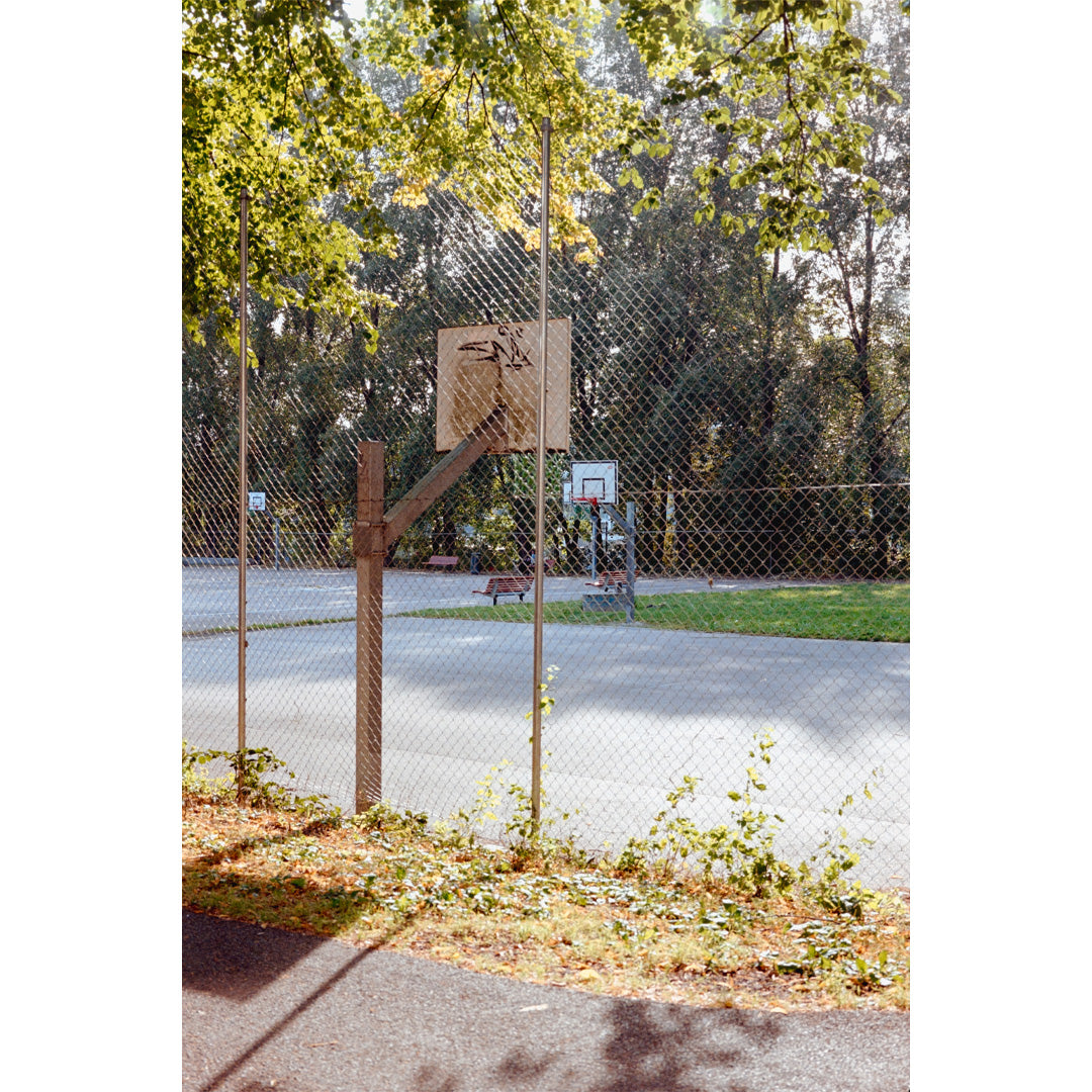 Kodak Gold 200 Pellicule 35mm Couleur